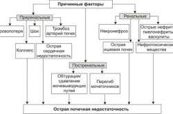 Причины острой почечной недостаточности