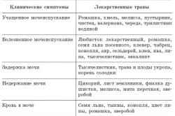Травы для лечения цистита